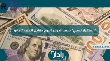 “استقرار نسبي” سعر الدولار اليوم مقابل الجنيه 7 مايو بالبنوك الرسمية